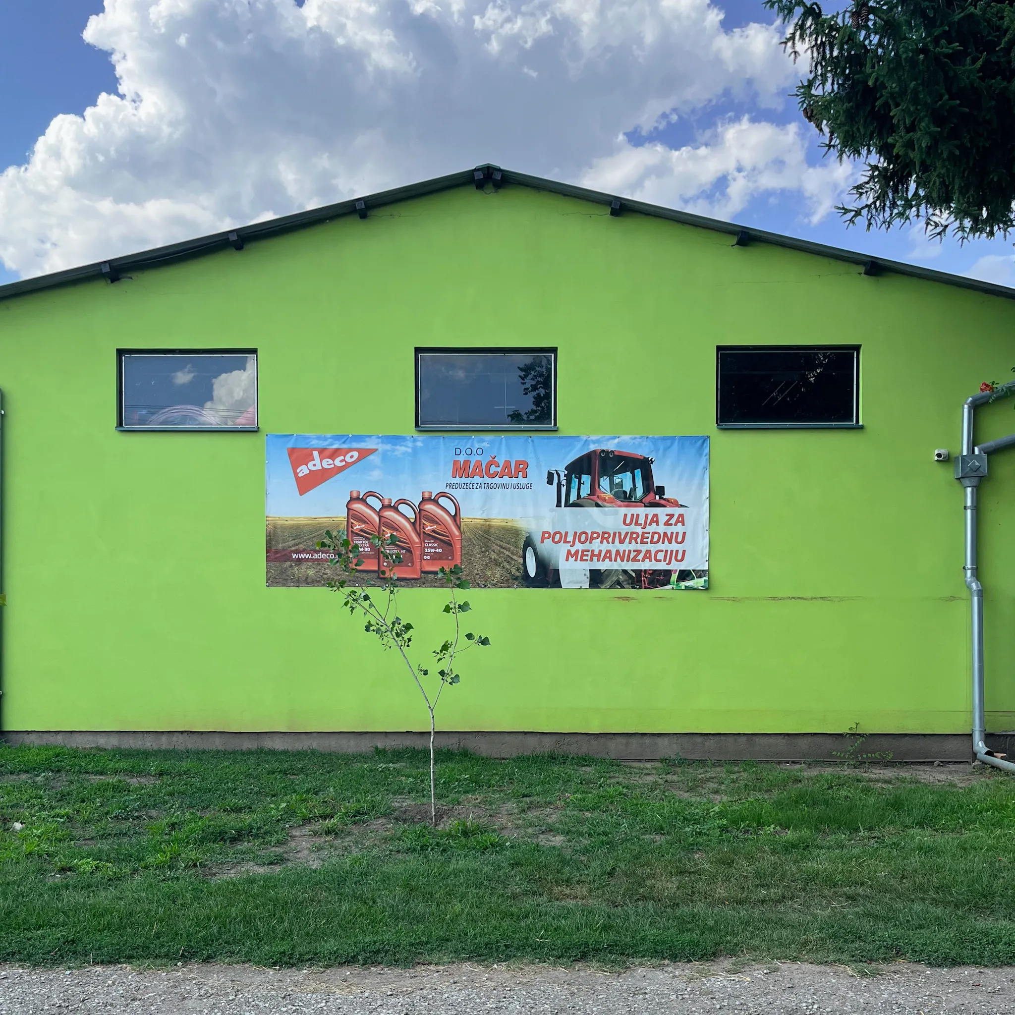 MAČAR 8